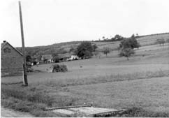 eika image